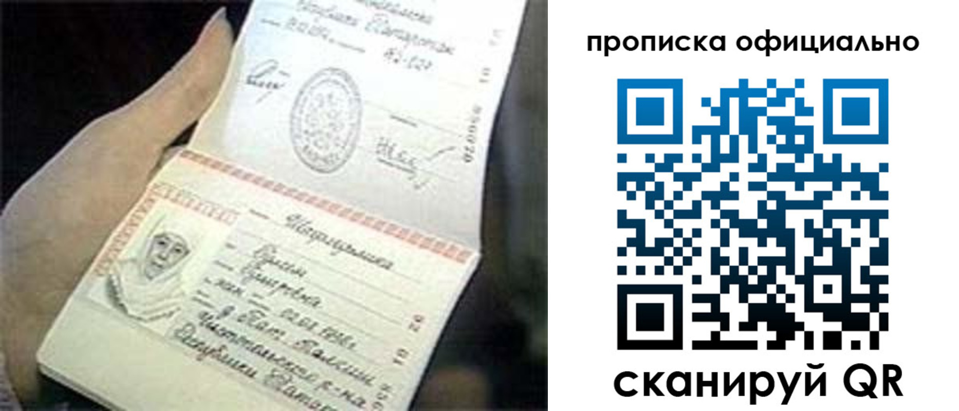 прописка поиск в Сертолово